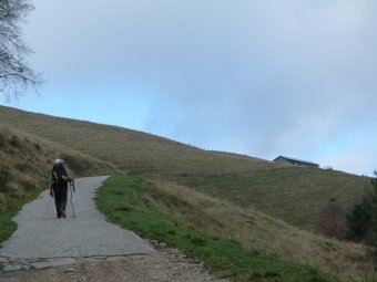 Quasi arrivati alla Malga