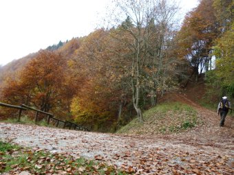 Salita verso Forcella Mattiola