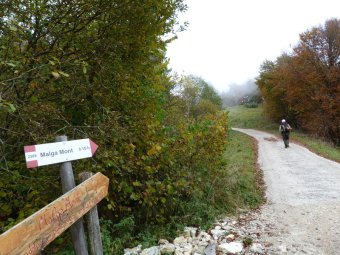 Seguiamo le indicazioni