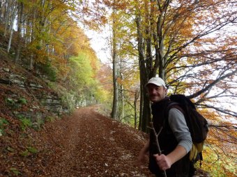 Un bastone da viaggio