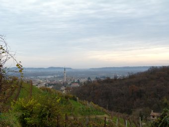 Panorama verso Col San Martino