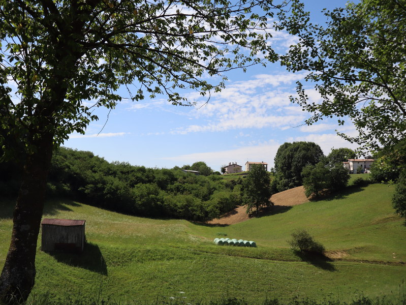 Doline Montelliane