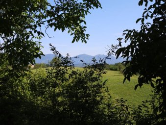 Col Visentin e Prealpi