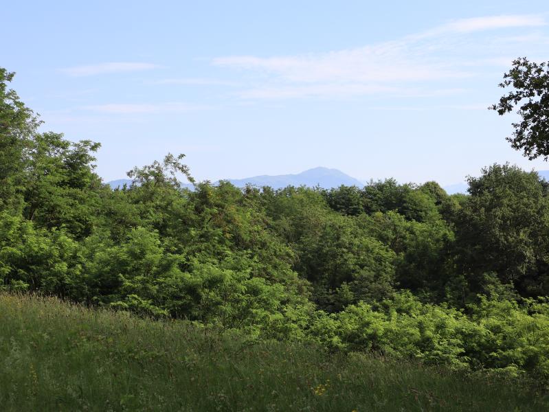 Vista sul Col Visentin