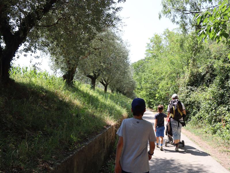 Conca degli ulivi