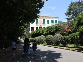 Viale Ca' Erizzo