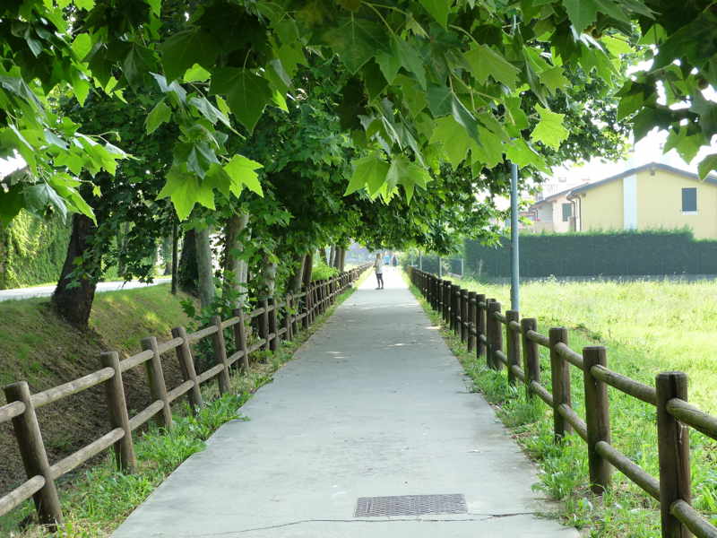 Pista ciclopedonale