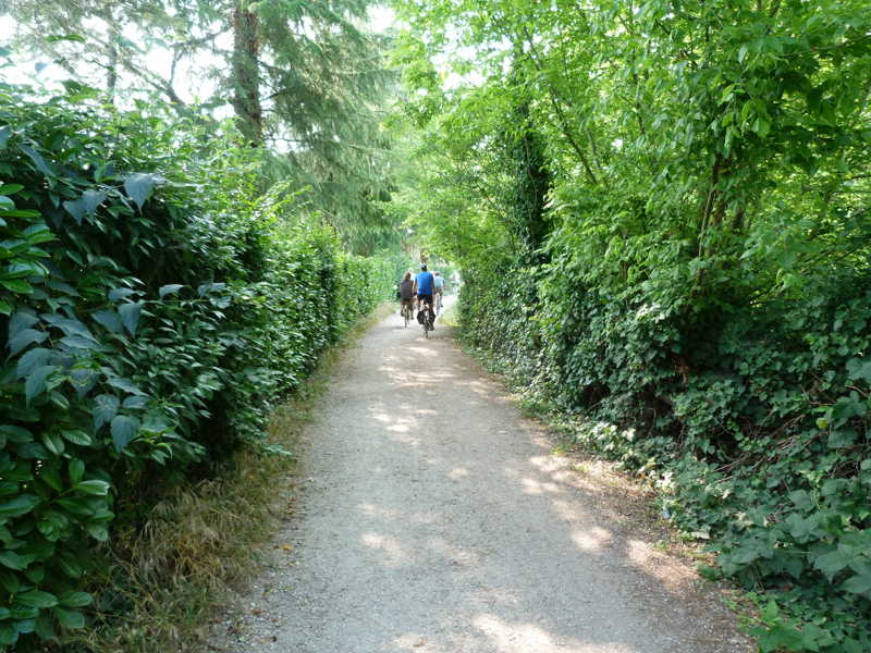 Vialetto alberato
