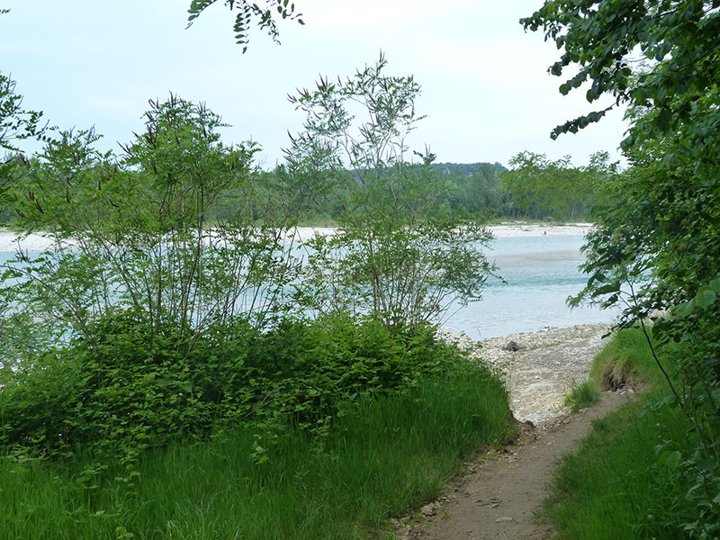 Fiume Piave