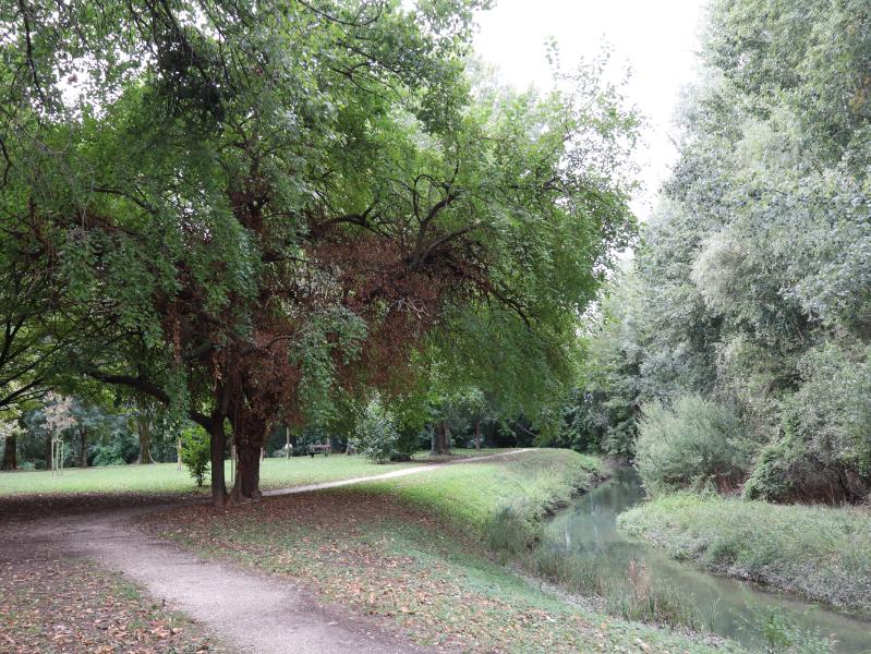 All'interno del parco