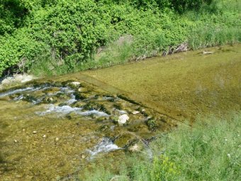 Il torrente Muson dei Sassi