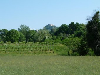 Panorama verso la Rocca