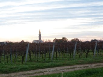 Panorama verso Venegazzù