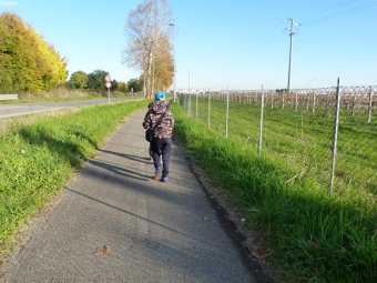 Pista ciclopedonale di Via Schiavonesca