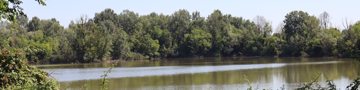 Parco Laghetti Martellago