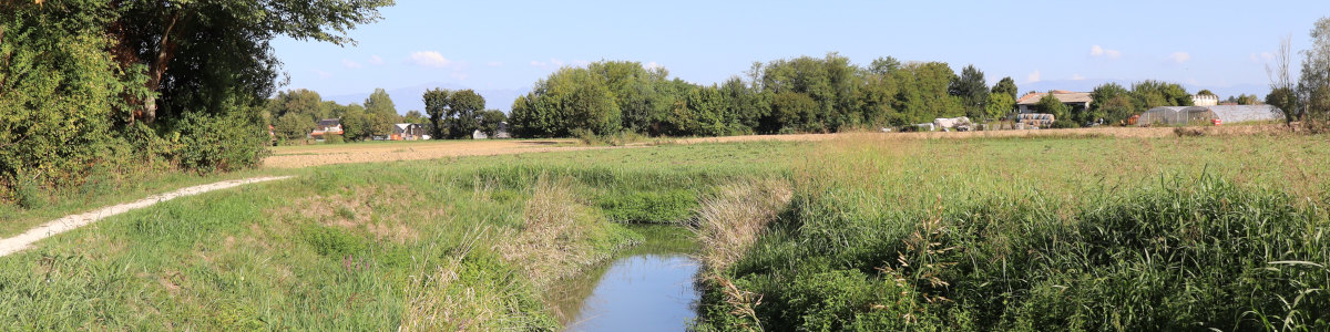 La via delle Risorgive e il Parco Draganziolo a Trebaseleghe