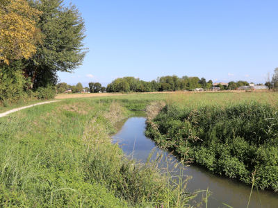La via delle Risorgive e il Parco Draganziolo a Trebaseleghe